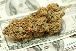 Marijuana investment tips